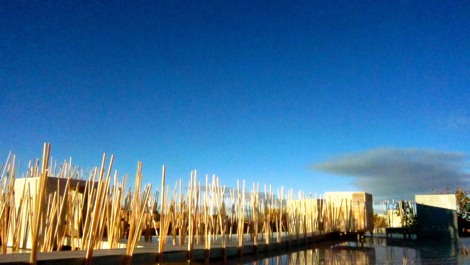 Pods at Dusk