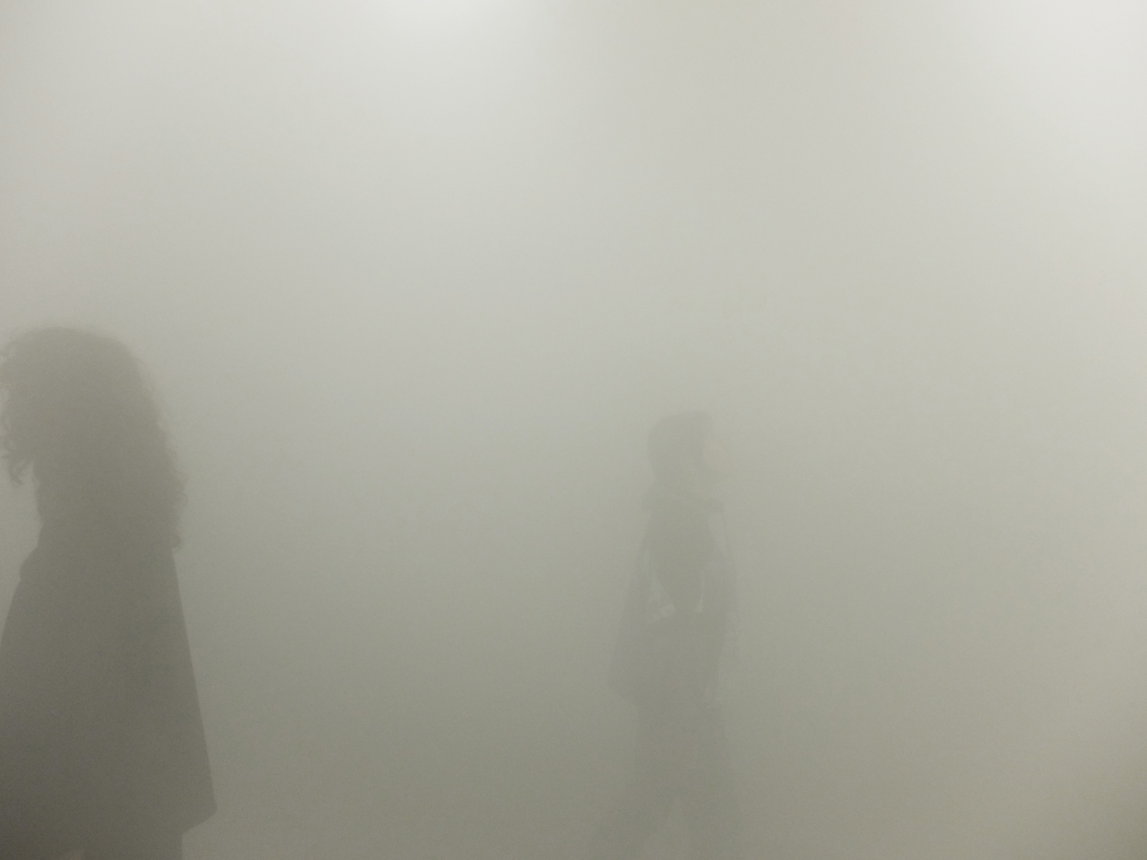 Two People in the Quantum Fog