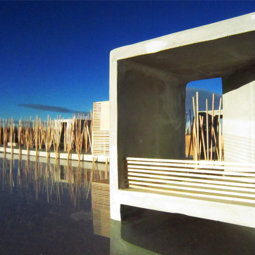 Bosque Del Apache Money Shot