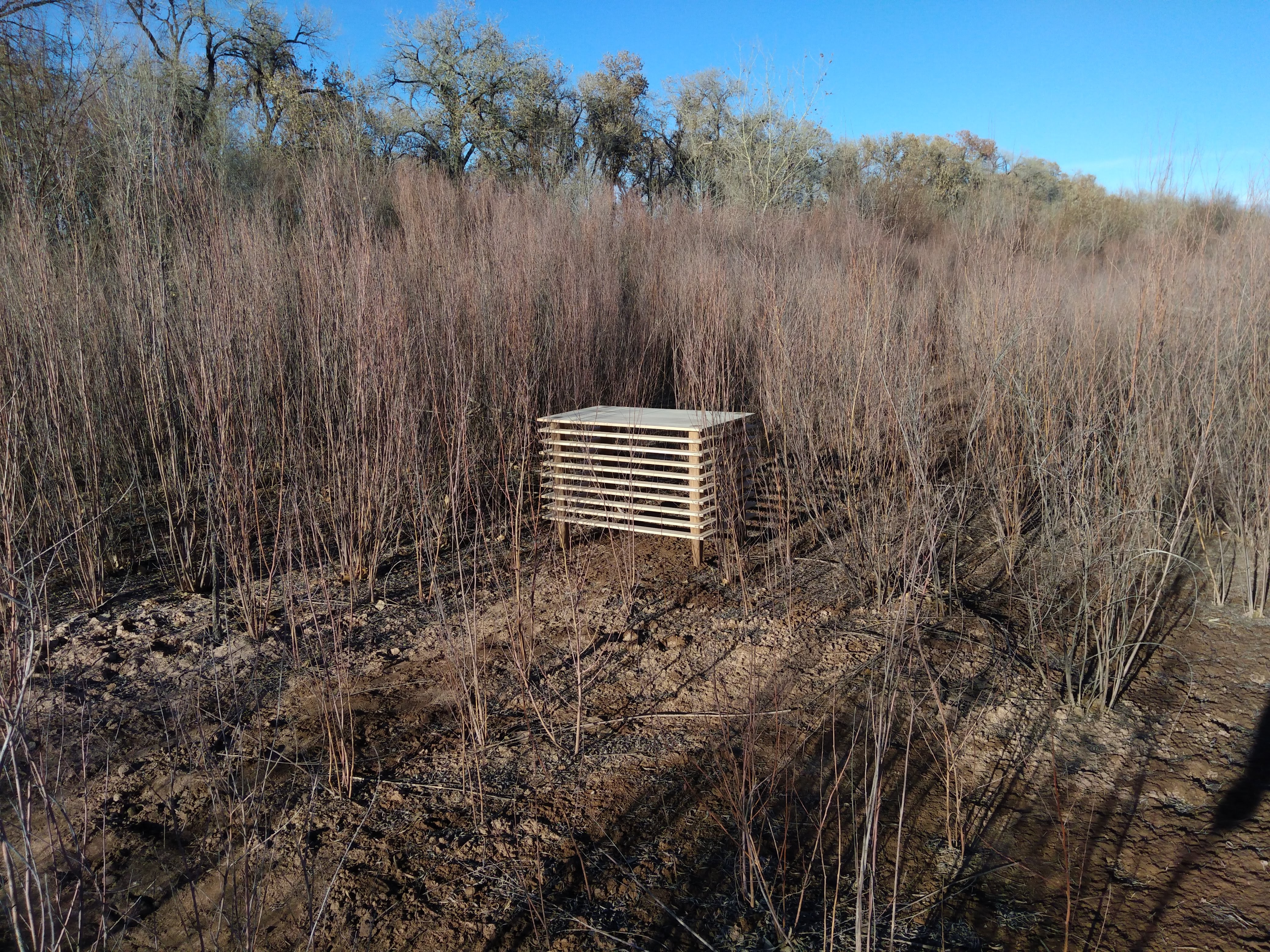 Desk in Reeds